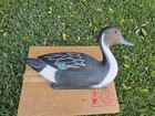 G h Plastic Duck Decoy