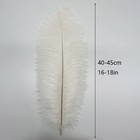 10pcs Large White Ostrich Feathers 16-18 Inch Fluffy Feather For Crafts Home    