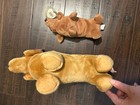 Ty Beanie Baby And Beanie Buddy - Weenie