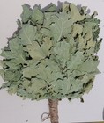 12st Oak Brooms herbs Sauna Banya Venik Whisks Eiche Eco 2025 Ukrainian Free Shi