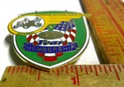 Cushman Club Pin 20 Year Member Collectible Scooter Pinback Biker Memorabilia