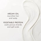 Moroccanoil Curl Defining Cream 2 5 Oz 2 Pack Curly Wavy Hair Argan Oil