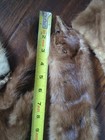 Taxidermied Large Light Brown American Mink Pelts And Two Mcfers With Silk Back