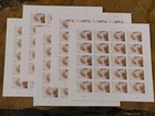 2011 White Wedding Roses 100-stamp Set Creative Stamp Collectibles