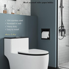Neodrain Recessed Toilet Paper Holder  Matte Black Toilet Paper Holder Built-in 