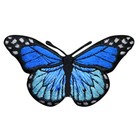 Blue Butterfly Applique Patch - Embroidered Insect Badge 2-7 8   iron On 