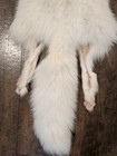 Rare Big Ranch White Artic Fox Hide Pelt Fresh Tanned soft Luxurious Fur 4 Legs 