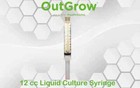 Black Truffle  tuber Melanosporum  Liquid Culture