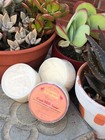 Pack Of 6 - Grandma s Kitchen Goat Milk Soap Eczema Relief  black Owned Business