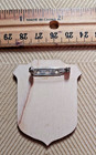 Junior Ranger Glacier Bay National Park Wood Pin Badge New