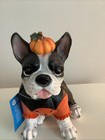 Halloween Boston Terrier frenchie The Humane Society Resin Statue Figurine Decor