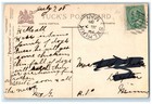Selkirk Canada Postcard Five Jack Russell Puppies 1908 Photochrome Tuck Dogs