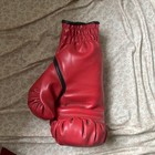 Vinny Paz 5x Champ Signed Boxing Glove Psa Dna