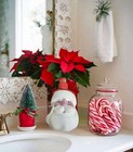 Christmas Santa Cranberry Fig Snowman Winter Snow    frosting Hand Soap 2 Pk 34oz
