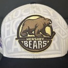 Hershey Bears Reebok Center Ice Hockey Fights Cancer Osfm Snapback Cap Hat Ahl