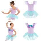 Girls Ballet Dress Birthday Party Leotard Sheer Mesh Sleeve Tutu Dress Cute