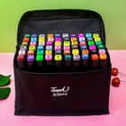 80 Colors Markers Graphic Drawing Painting Alcohol Art Dual Tip Sketch Pens