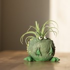 Freckles The  Frog    Blob House Planter