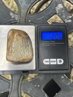 Rare Polished Agatized Fossil Coral W  Druzy Quartz Pockets 2 07 Oz Louisiana
