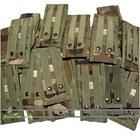 1x Usgi Molle Ii Double Magazine Pouch M81   Woodland - New Old Stock Nos Gwot