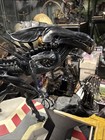 Sideshow Collectibles Diorama Aliens Queen Alien Statue Figure Rare  Xenomorph