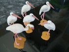 Vintage Britains Flamingoes  X 6  Wild Life Animals  Good Condition  Preloved 