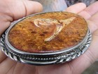 Vtg Real Snake Head Belt Buckle Ssi Diamondback Rattler Taxidermy Silver Rare Vg