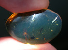 2 Wasps With Fulgoroid In Blue Burmese Amber Fossil Dinosaur Age