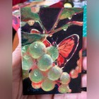 Aceo Original Butterfly Vineyard Painting Art Collectible Miniature Realism Usa