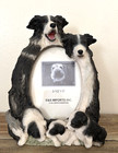Border Collie 3-d Resin Picture Frame 8  X 6 