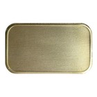 Buffalo Bison Antiqued Bronze Ingot Usa National Mammal
