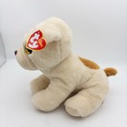 Ty Classic Plush - Houghie Pug Dog  medium 10 Inch  2021 With Tag