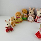 Calico Critters Sylvanian Family Flocked Velvet  Character Figure Toys Lot