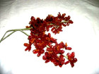 Vintage French Glass Beaded Flower Stems Gladiolas Red Orange 32 Flowers