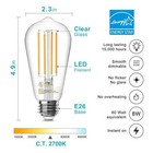 36 Pack Vintage 8w St58 Led Edison Light Bulbs  Dimmable  60w Equivalent  800   