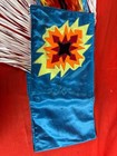 Native American Powwow Grass Dance Regalia  cp1120097 