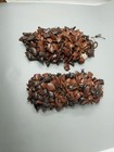 African Original Dancing Rattle Anklet Plant Seeds Pair
