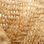  helen Kaminski   raffia  Raffia Handbag