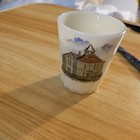 Antique Custard Glass Souvenir Cup Fortbildungs Schule Der Bethesda Cemetery