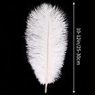24 Pcs 10-12 Inch White Ostrich Feathers Natural Bulk For Crafts Wedding