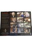 Tiger Animal Sanctuary  Wall Calendar 2024 New   Big Cats Wall Calendar-animals