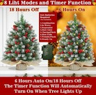 2 Pack 24    Snow Flocked Christmas Tree Decor 50 Warm Lights Timer Berries Pine