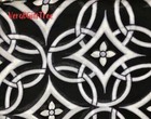 Vera Bradley Soft Fringe Scarf Concerto Nwt Wrap Classic Black   White New Gift