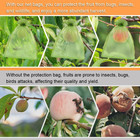 100 Pack 6x9 Green Fruit Protection Netting Bags With Drawstring For Trees