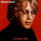 Warren Zevon Excitable Boy Banner 2x2 Ft Fabric Poster Tapestry Flag Album Cover