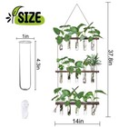 Wall Hanging Propagation Station With Wooden Stand 5 Glass Test Tubes 3 Tiere   