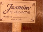 Jasmine By Takamine Acoustic Guitar