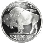 Buffalo 999 Oz Pure Silver Proof Gem Bu 1 Troy Ounce  999 Round Bullion Unc Coin