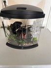 Aqueon Led Minibow Desktop Aquarium Kit 2 5 Gal Bowfront W  Smartclean Filter