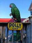 Vintage Large Polly Porcelain Flange Sign Motor Oil Gasoline Parrot Gas 3ft 